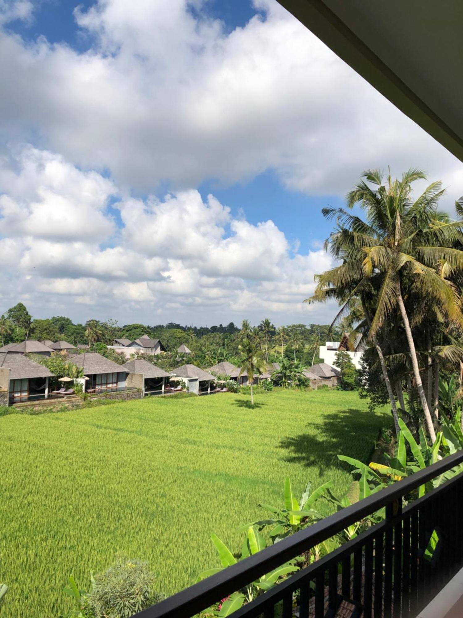 Mira Family Cottages Ubud Zewnętrze zdjęcie