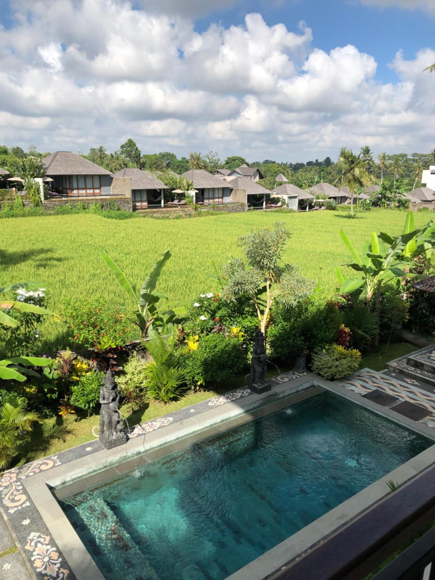 Mira Family Cottages Ubud Zewnętrze zdjęcie