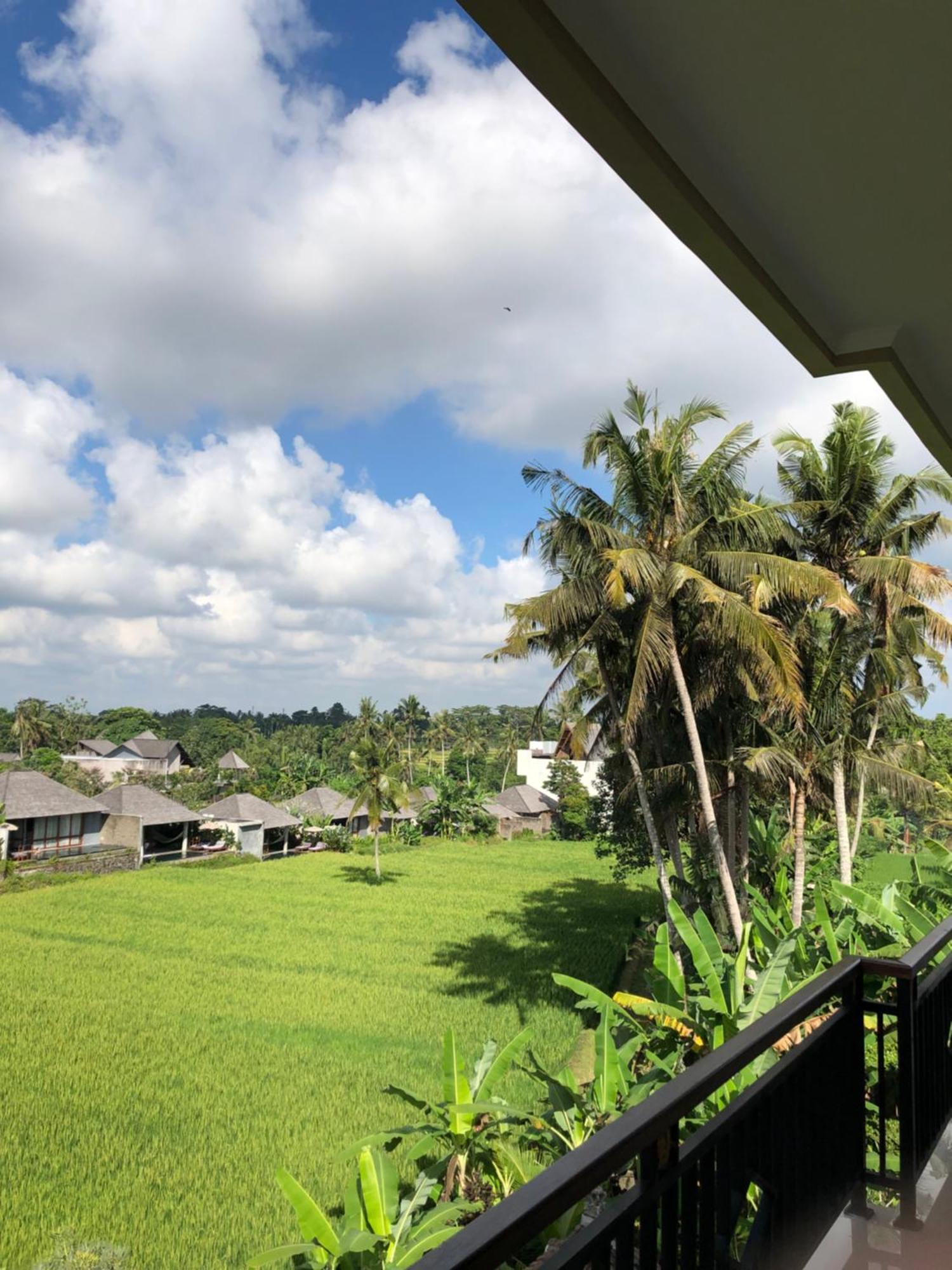 Mira Family Cottages Ubud Zewnętrze zdjęcie