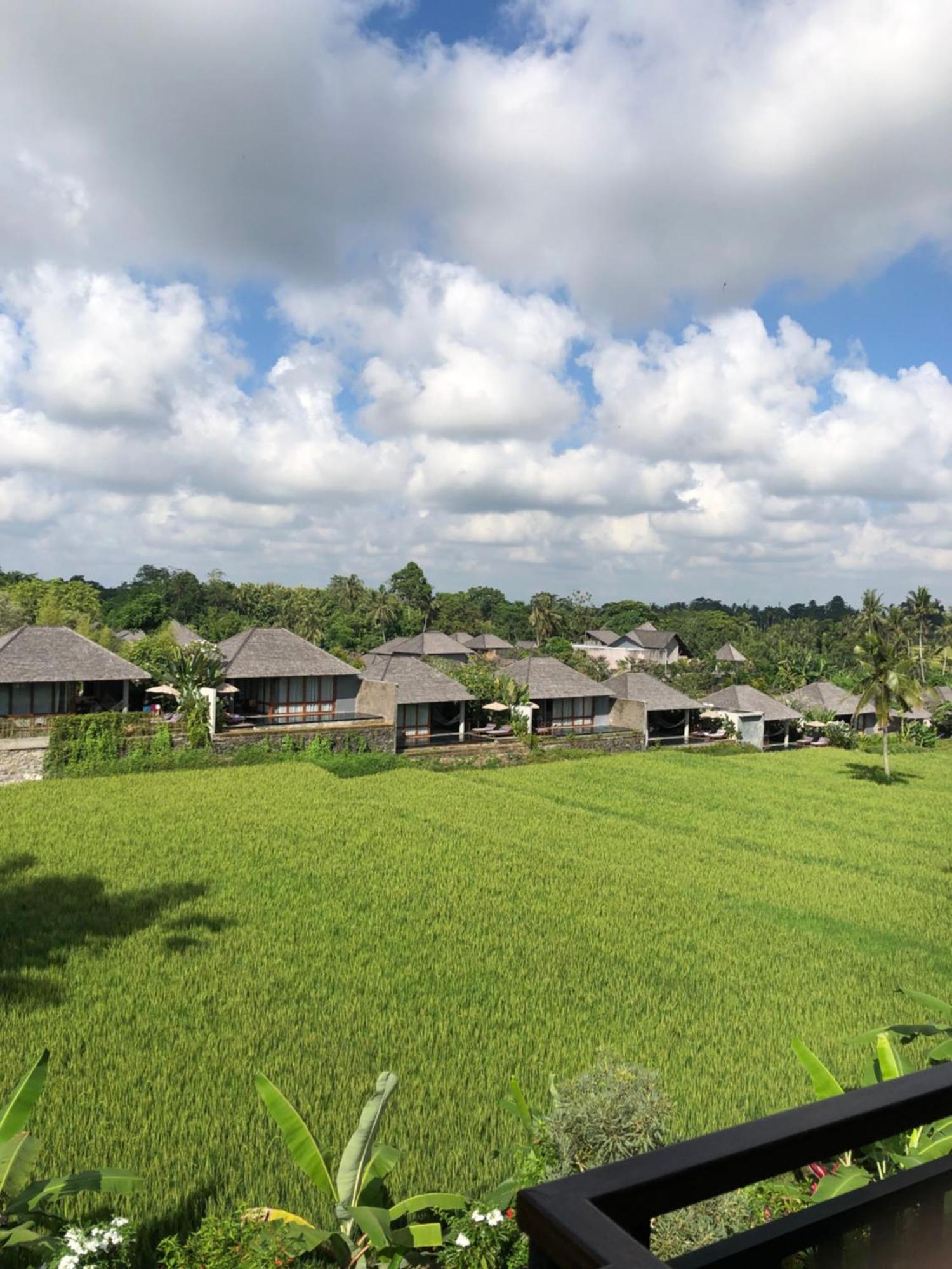Mira Family Cottages Ubud Zewnętrze zdjęcie